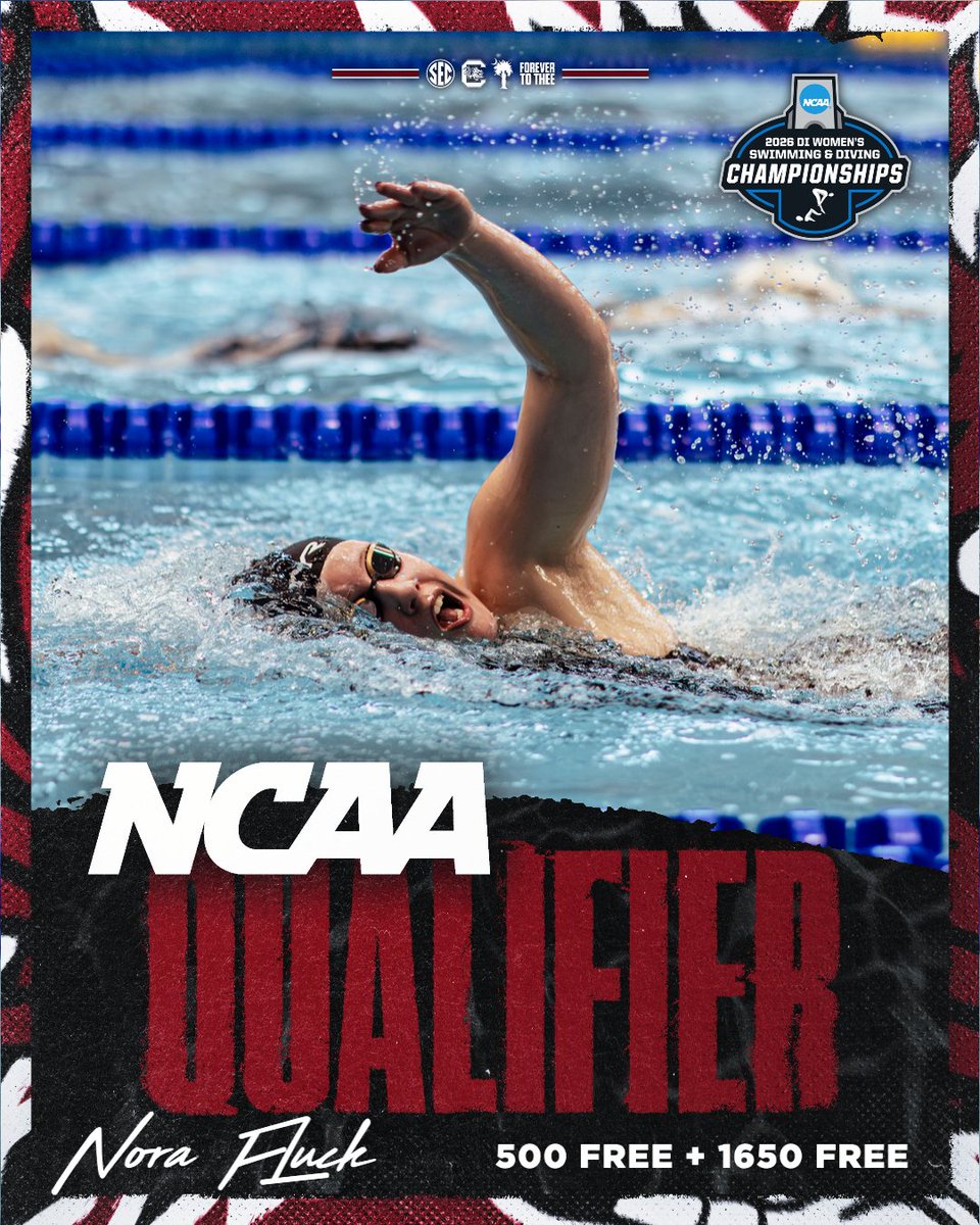 South Carolina Swimming & Diving tweet media