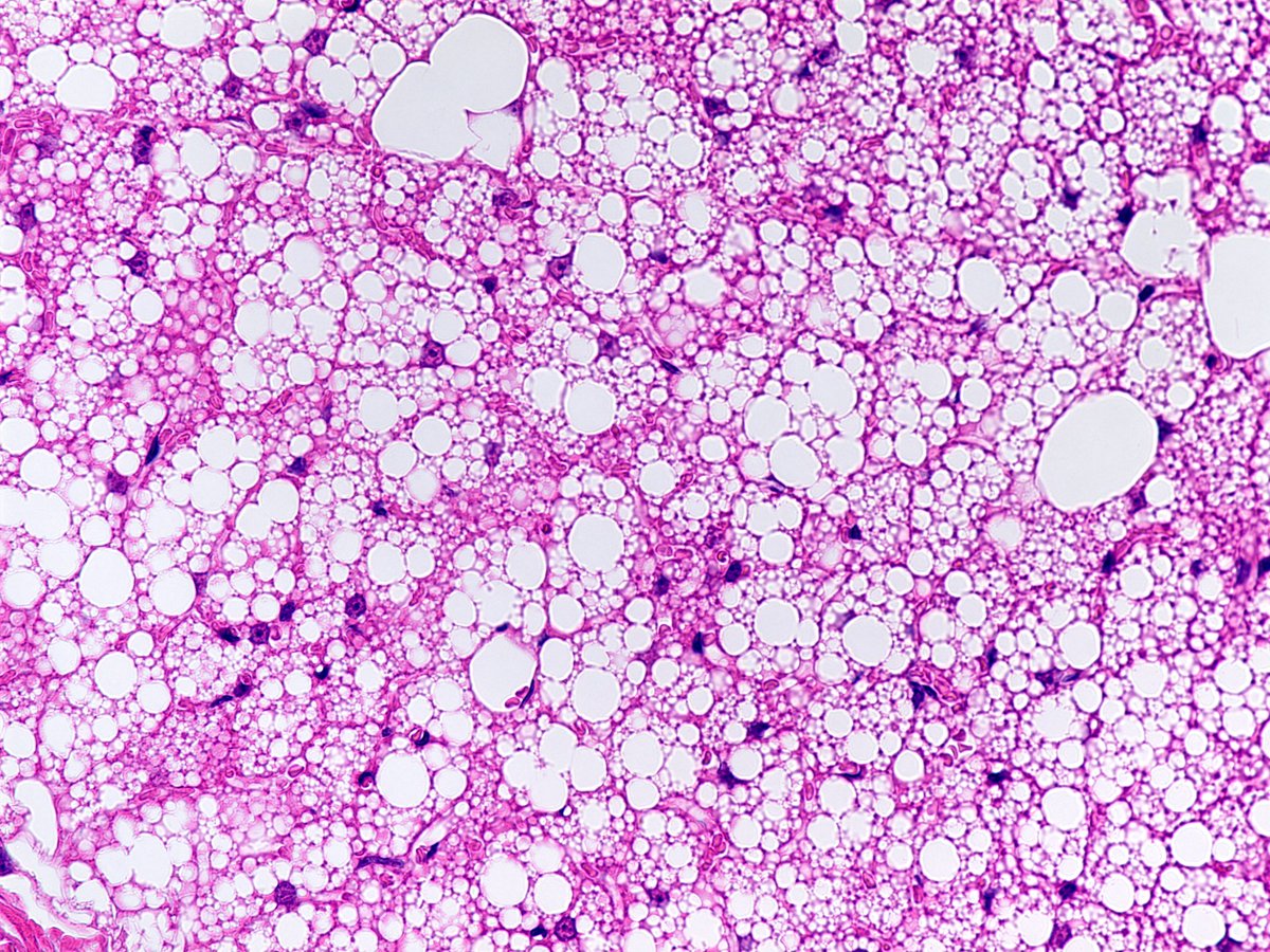 Broad Institute tweet media