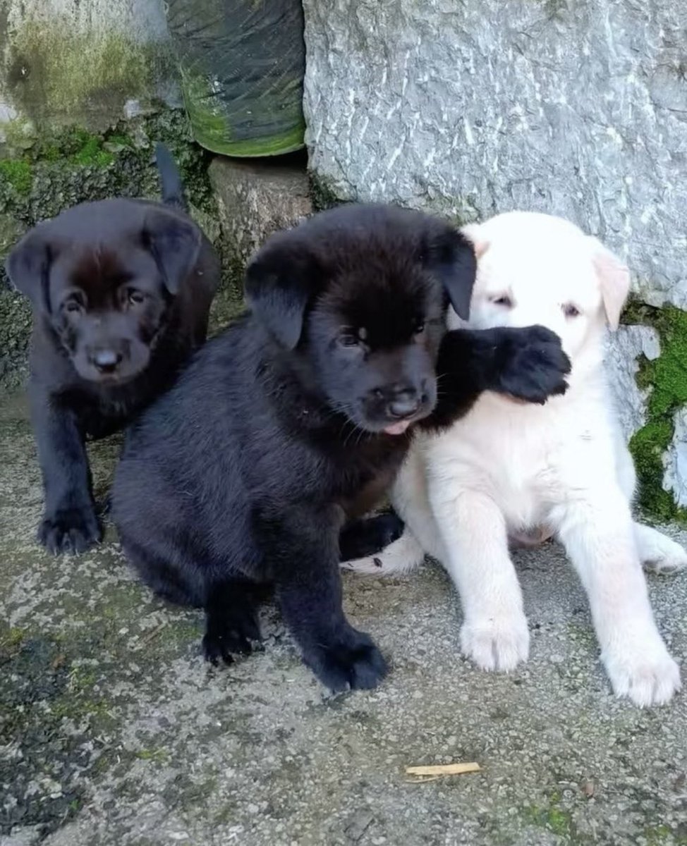 ชัดละ5555555555555555555555555555555555555555555555555555555555555555555555555555555555555555555555555555555555555555555555555555555555555555555555555555555555555555555555555555555555555555555555555555555555555555555555555555555