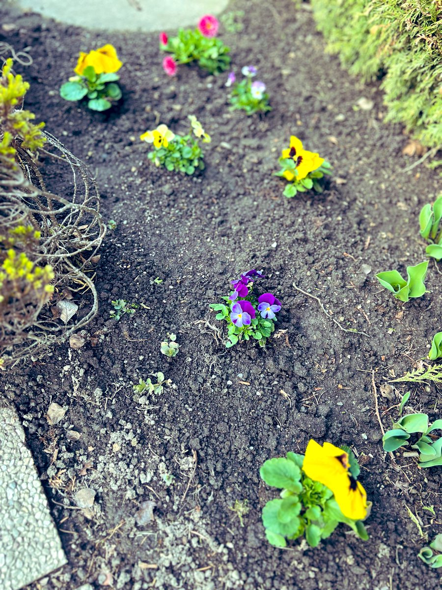 ✊ Herr K O F L E R™️ tweet media