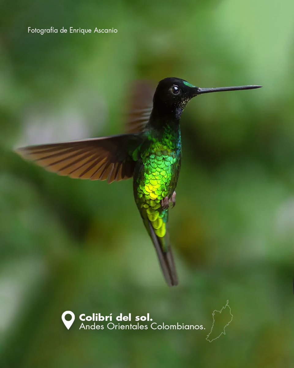 Colombia tweet media