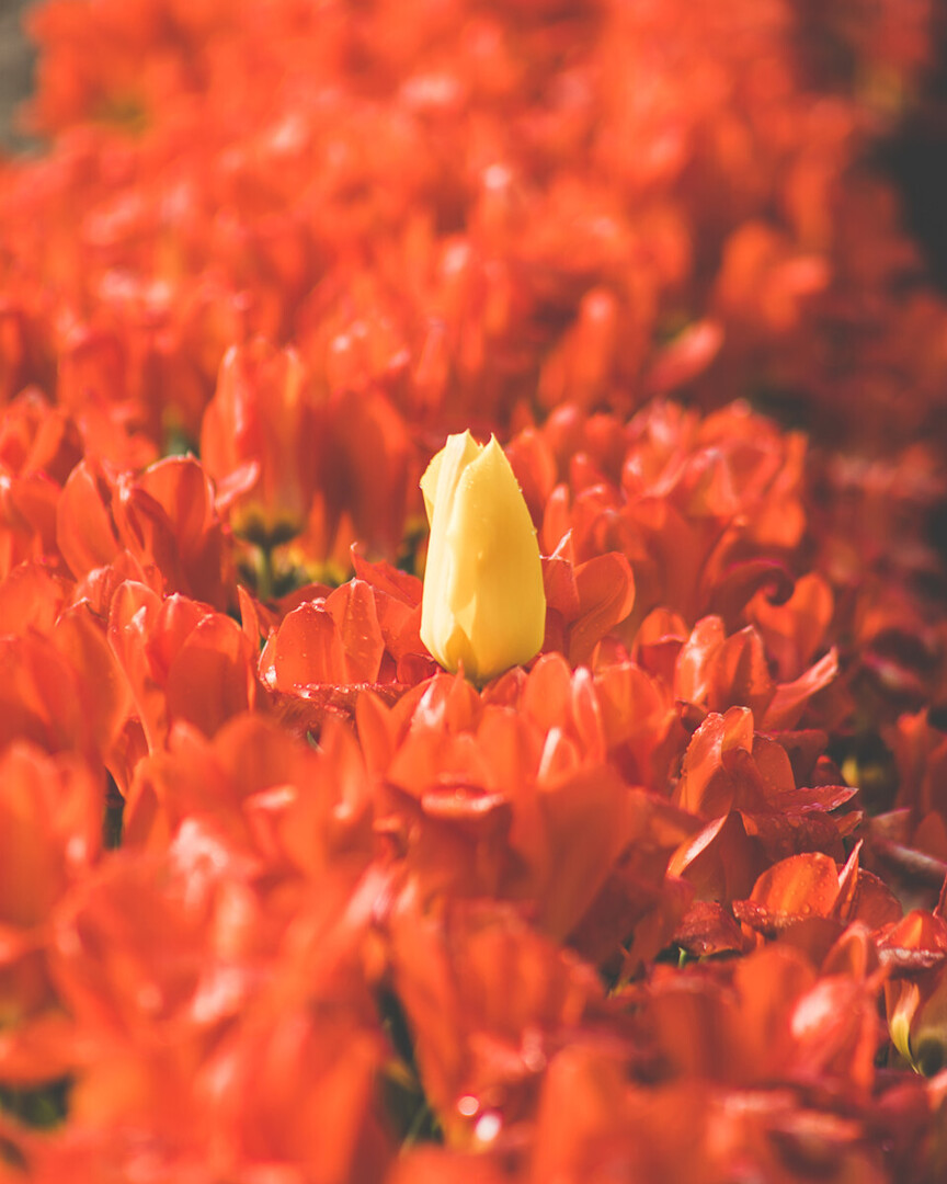 Eric Muhr tweet media