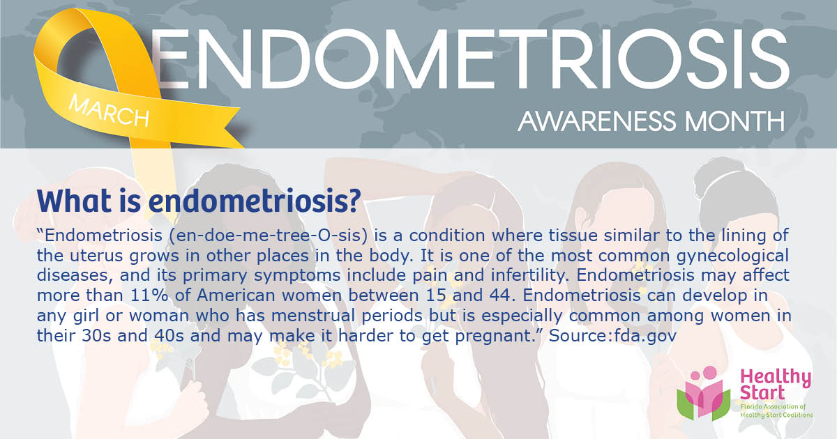Florida Association of Healthy Start Coalitions tweet media