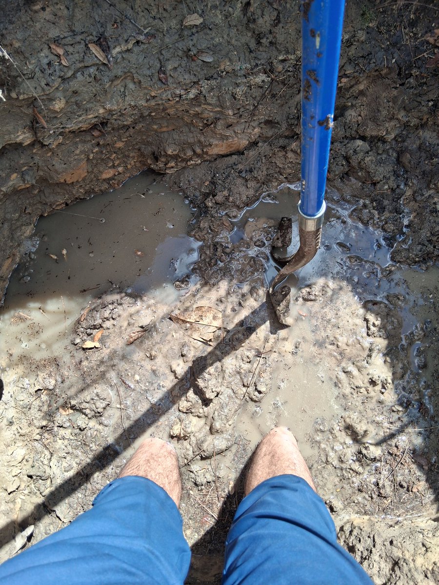 Mark Clayton tweet media