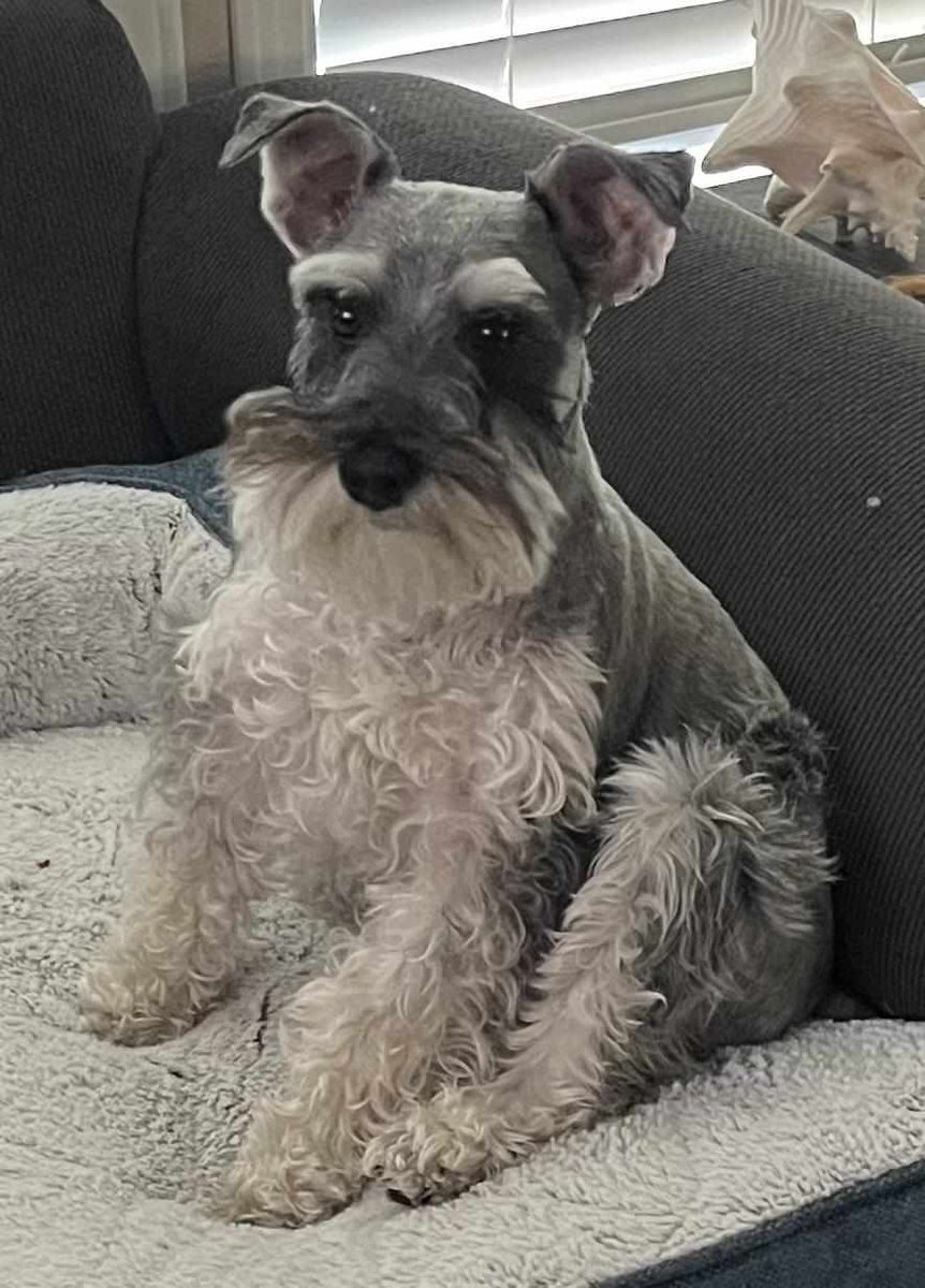 KittyMan tweet media