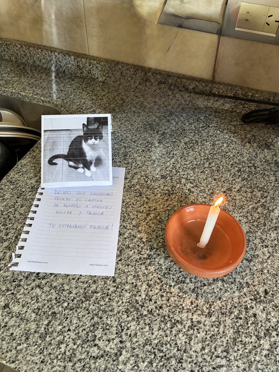 Por favor #Rhodesia volvé a casa!!!

Hoy más que nunca, hoy es hoy por favor!!!!! 🙏🏻🙏🏻🙏🏻🙏🏻🙏🏻🙏🏻🙏🏻🙏🏻