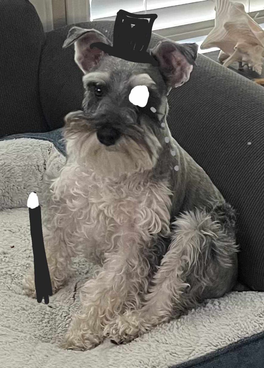 KittyMan tweet media