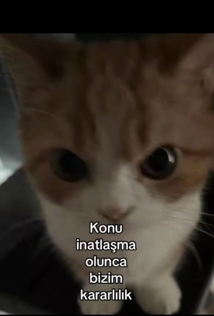 furkan (@furkannonaall) on Twitter photo 