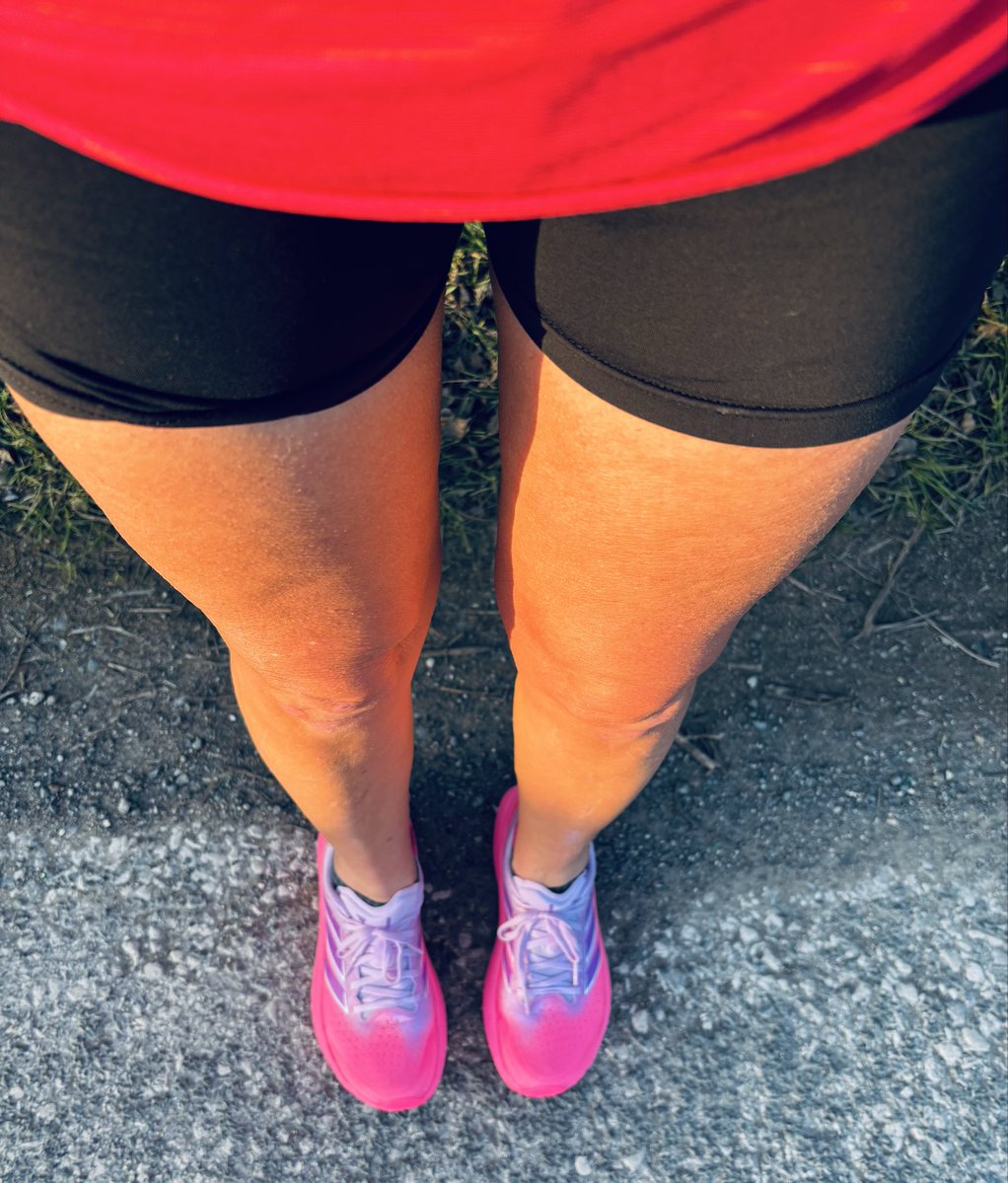 sober_socks 🦁 tweet media