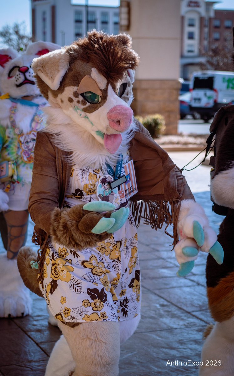 Bagel.Bytes tweet media