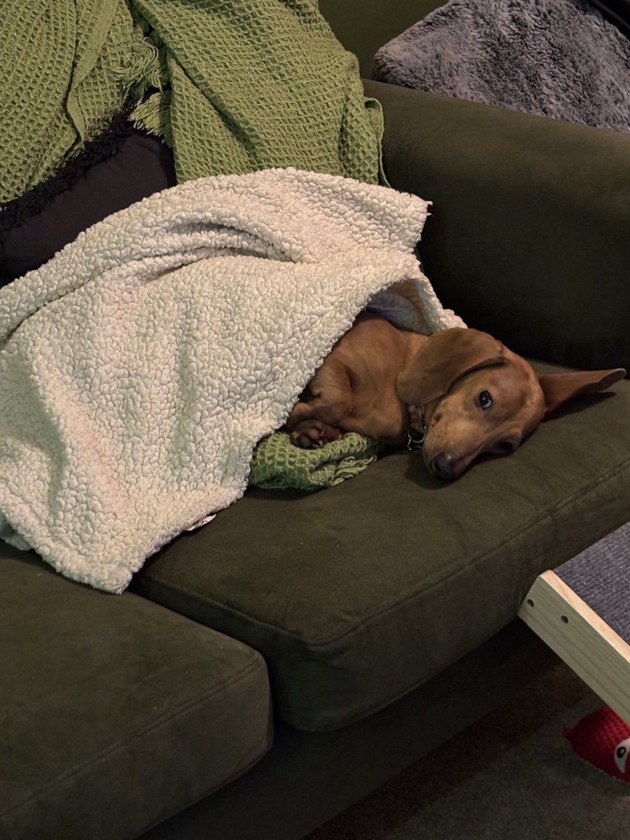 mog ✨🦇 tweet media