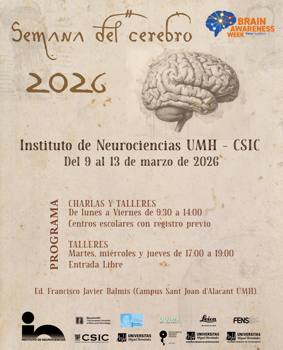 Instituto de Neurociencias UMH-CSIC tweet media