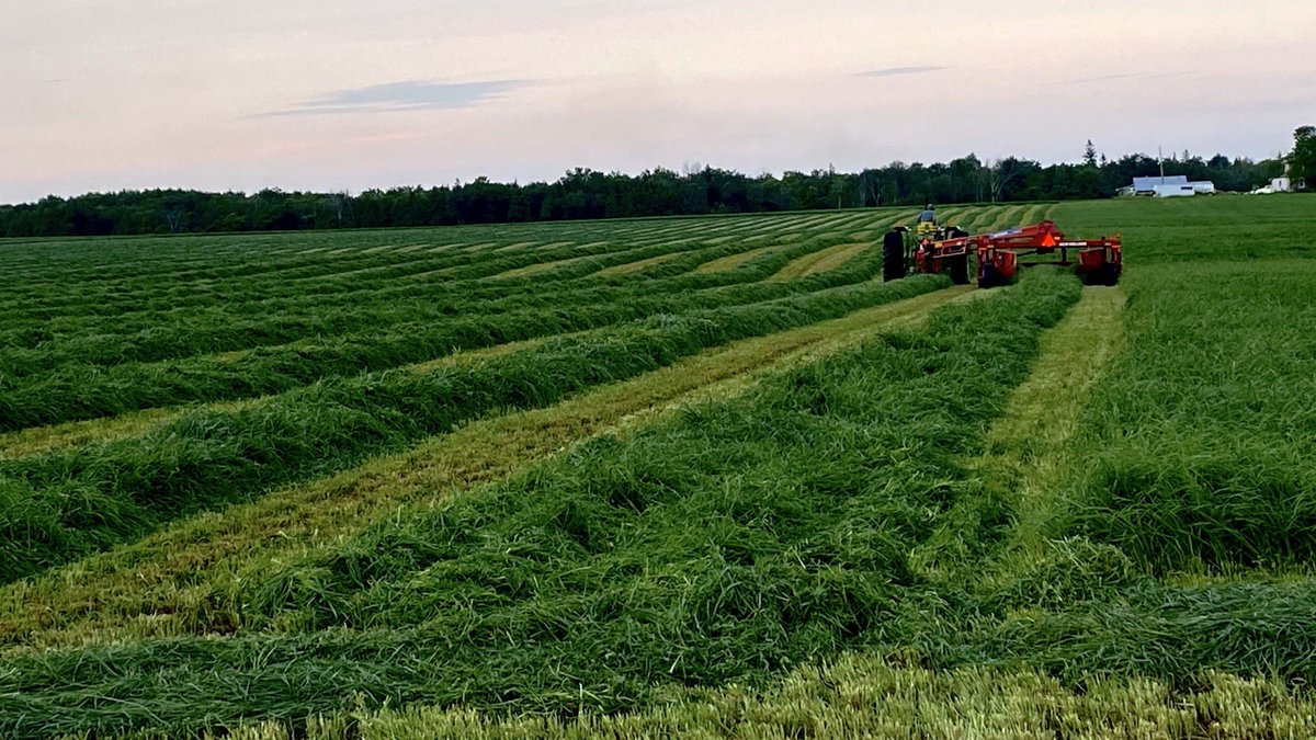 DLF Canada tweet media