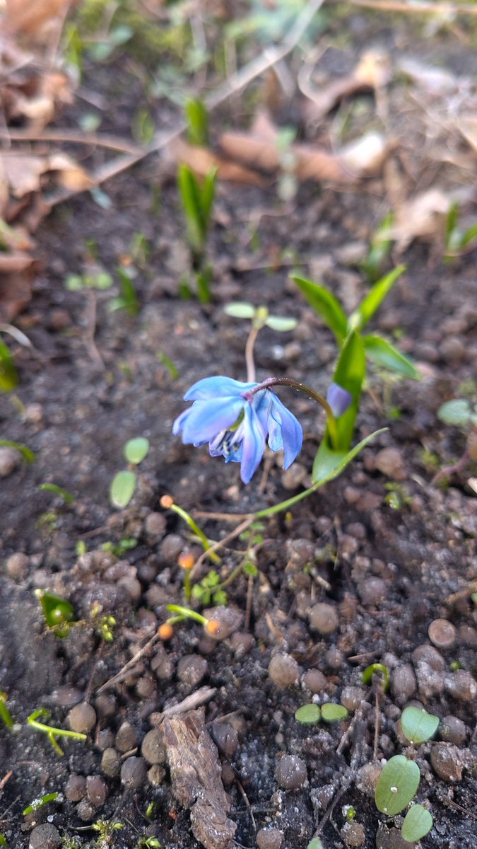 Clewin Stÿrer tweet media