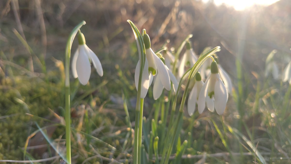 Clewin Stÿrer tweet media