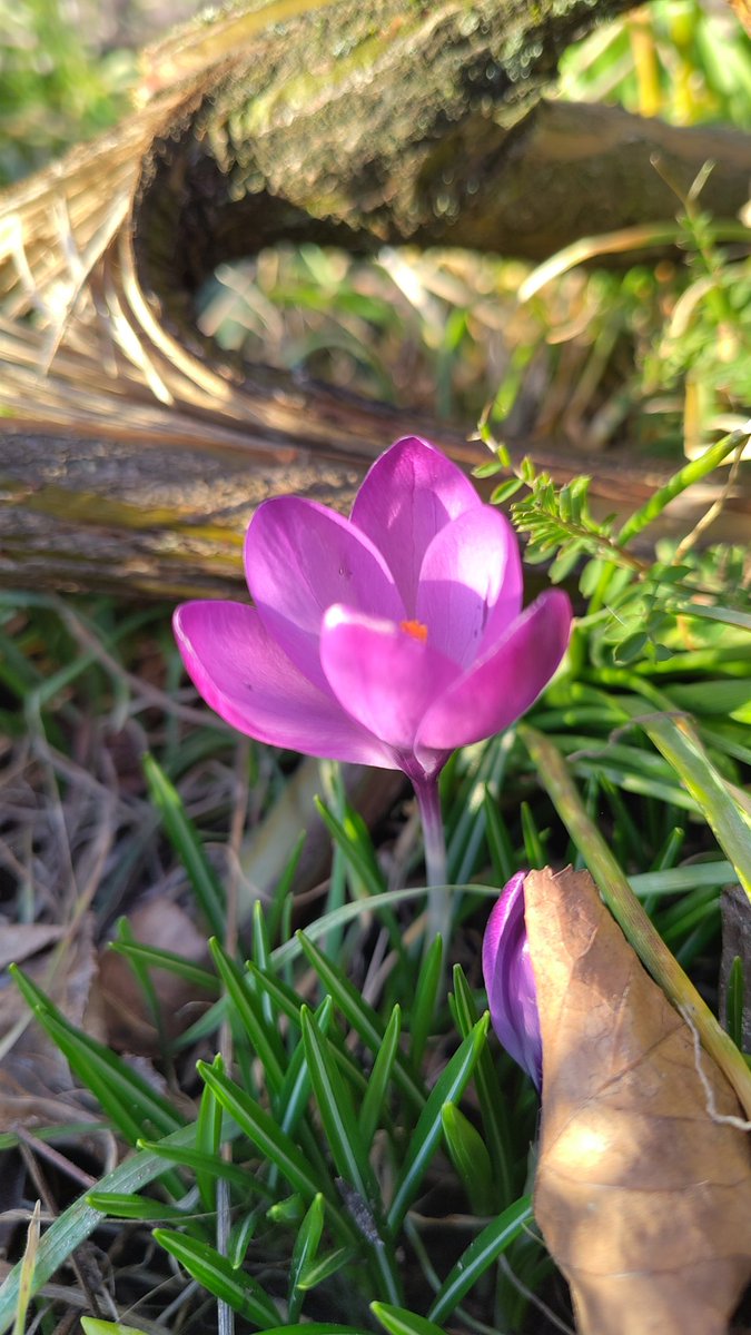 Clewin Stÿrer tweet media