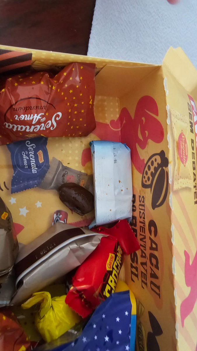 .Sarah.Bebiano. 🐾🏳️🌈 tweet media