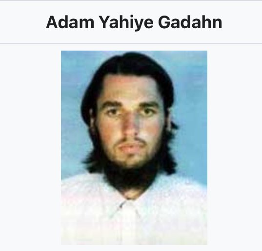 Lost Safdie brother?