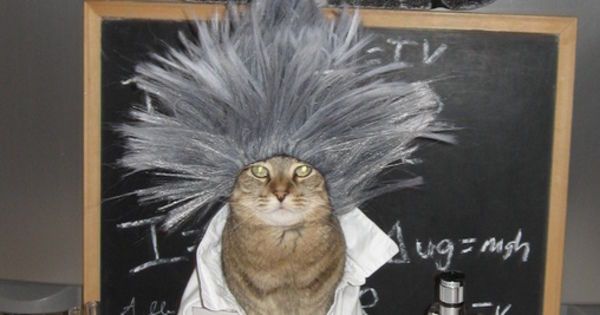 How do you get a C&amp;D without doing anything that could actually get you in trouble?
(I wanna frame it on the wall)