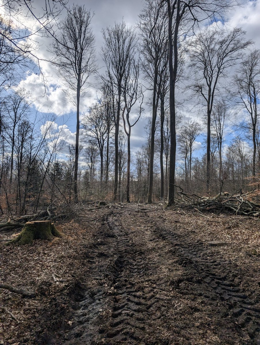 Heiko | spessartbu tweet media