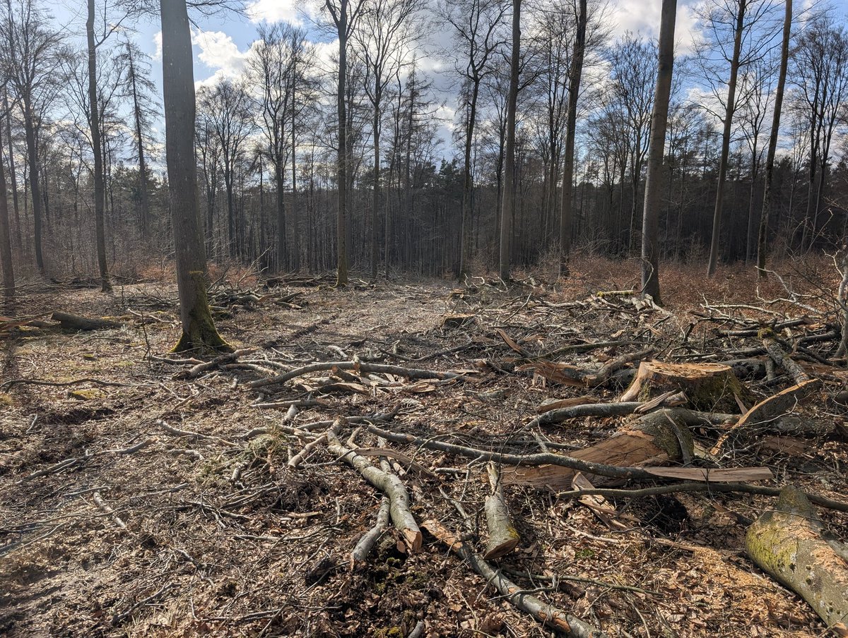 Heiko | spessartbu tweet media