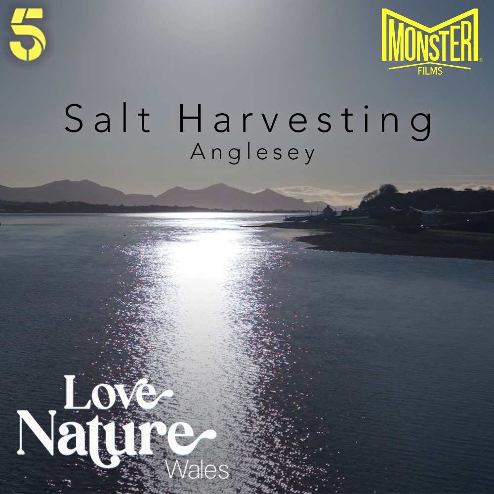 Monster Films tweet media