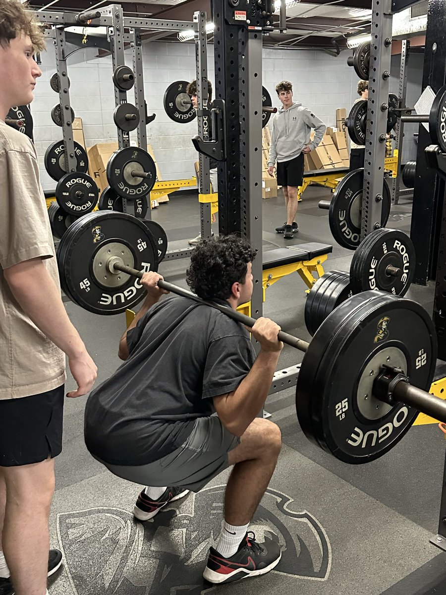 Sandite Strength tweet media