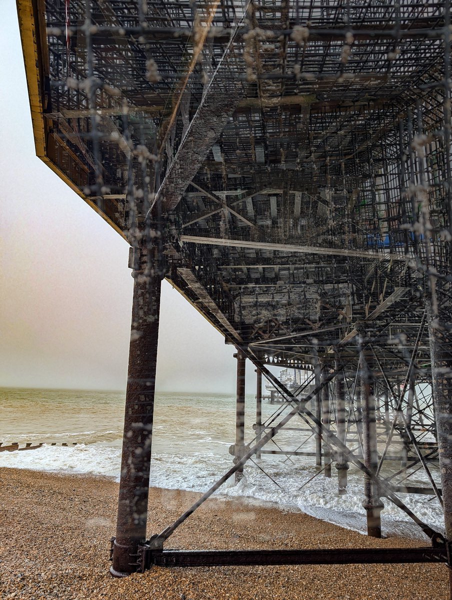 Saffron Swansborough tweet media