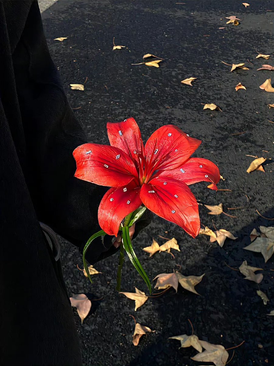 Bloomify tweet media