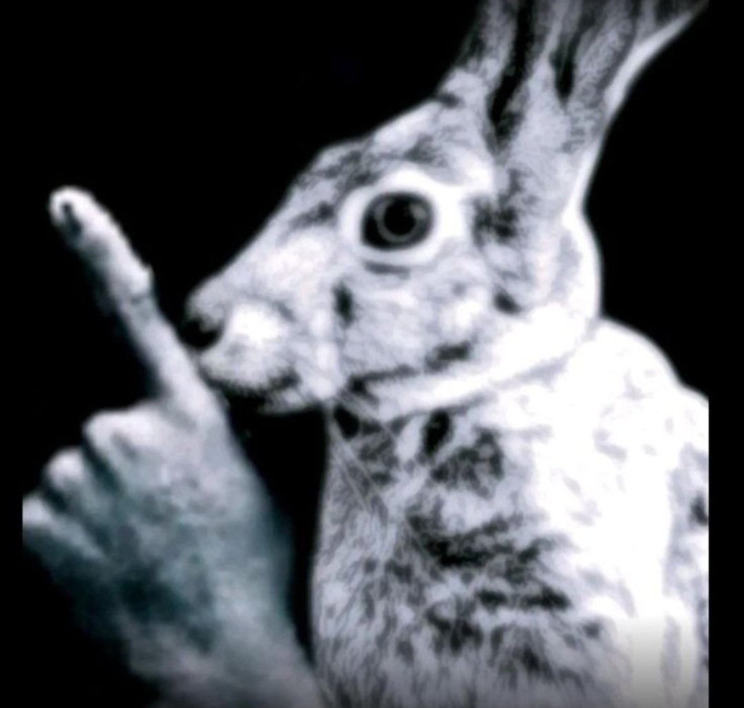 yuralee🪲🇺🇦 tweet media