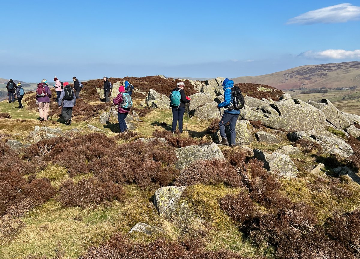 Sue Wilkinson tweet media