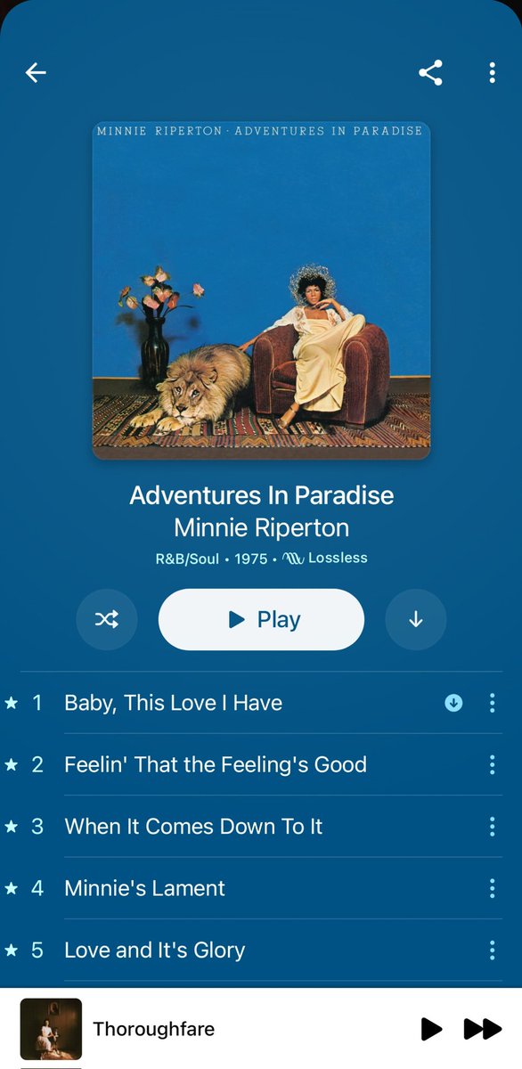 can we talk about how beautiful this album is