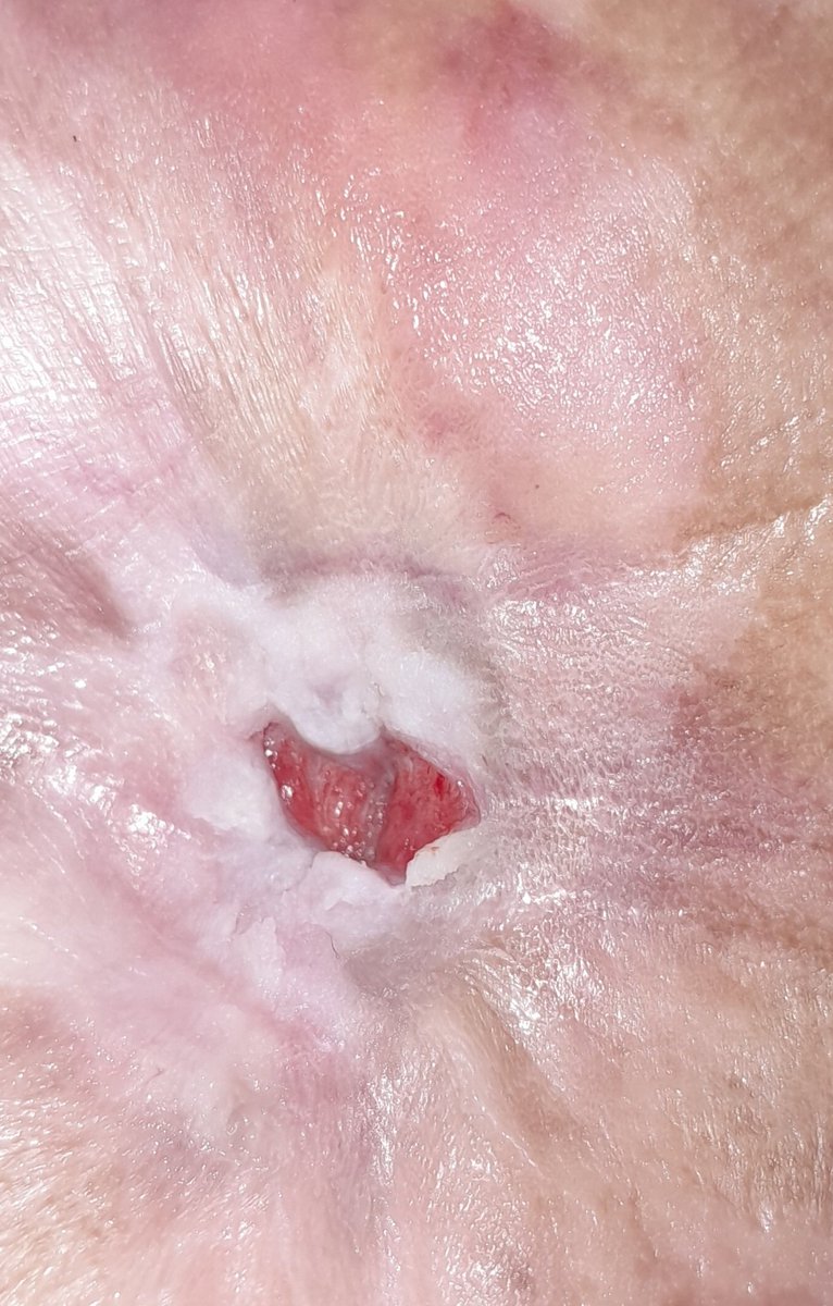 Carol 🧸 tweet media