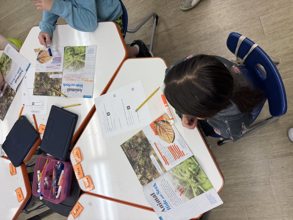 Stefani Spoon tweet media