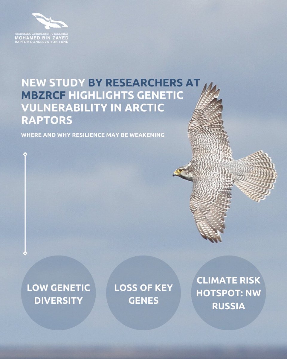 RaptorConservationFund tweet media