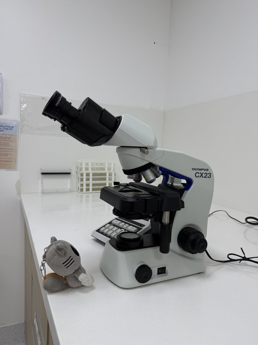 brought my child to work today