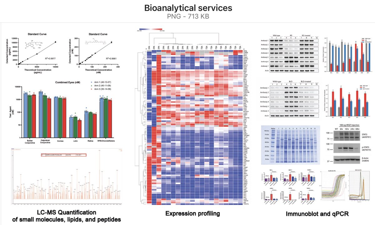 Jarrod C. Harman tweet media