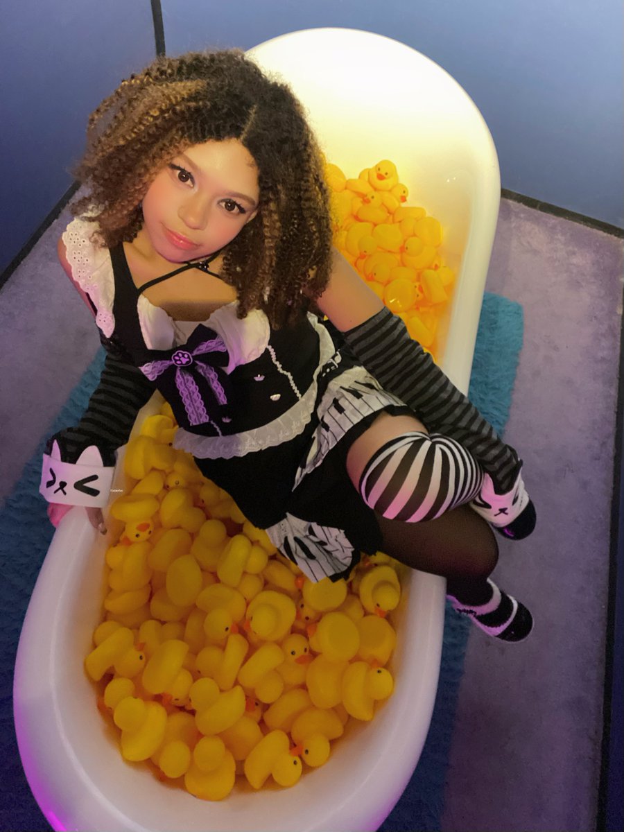 クマ 猫 tweet media