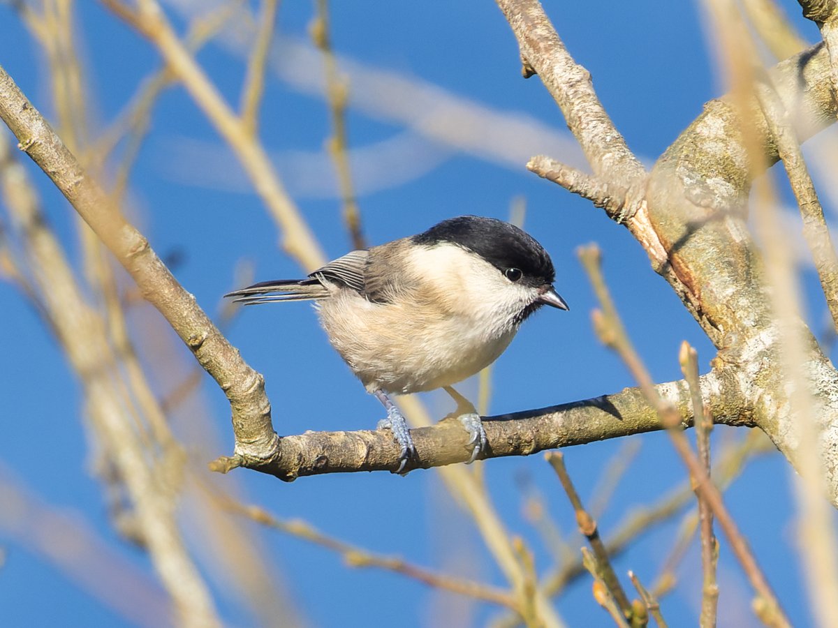 Pete Sutton tweet media