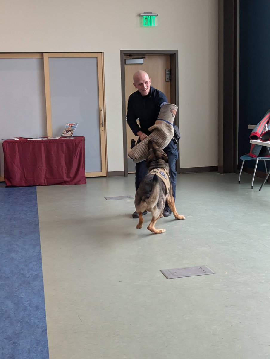 The County Library tweet media