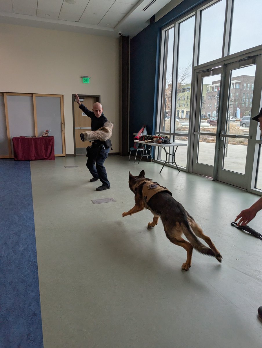 The County Library tweet media