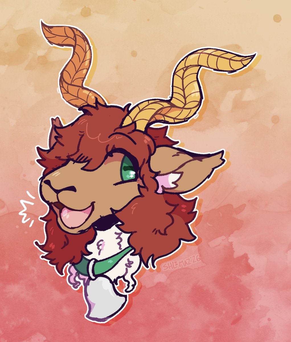 🌙 Shlimaz tweet media