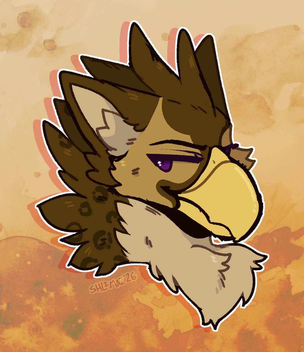 🌙 Shlimaz tweet media