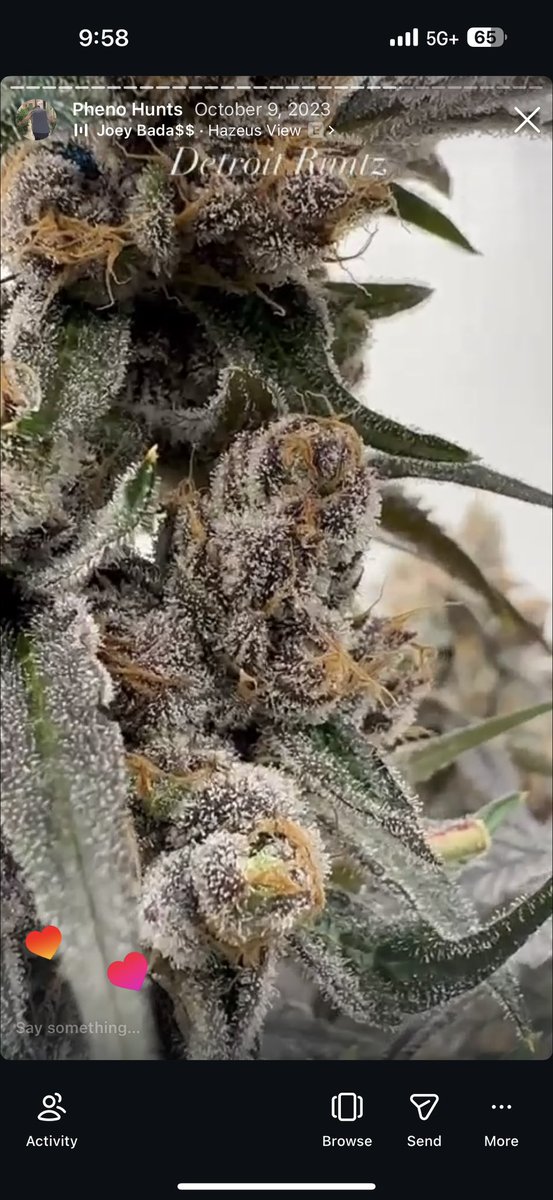 Joeys Baked tweet media