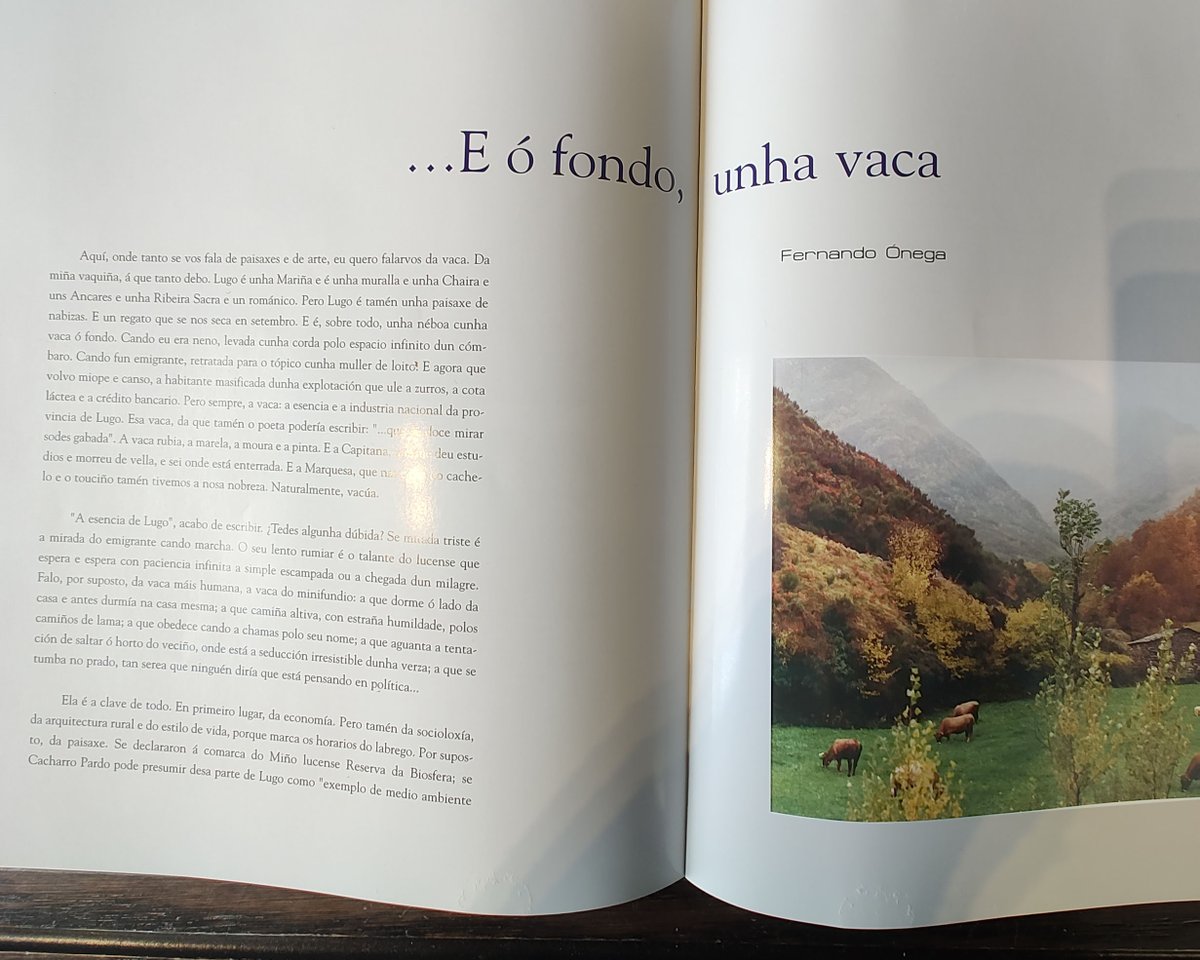 ARRACADA Produccións tweet media