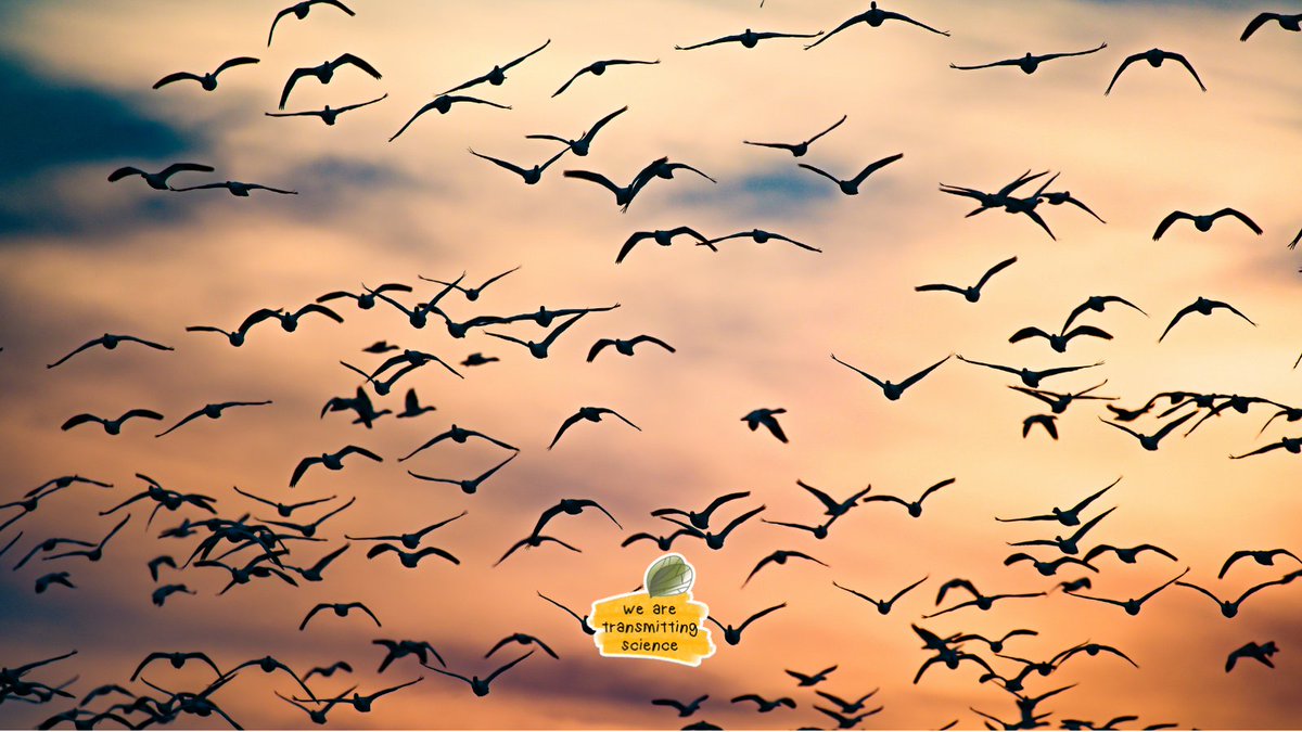 Transmitting Science | Online courses and more tweet media