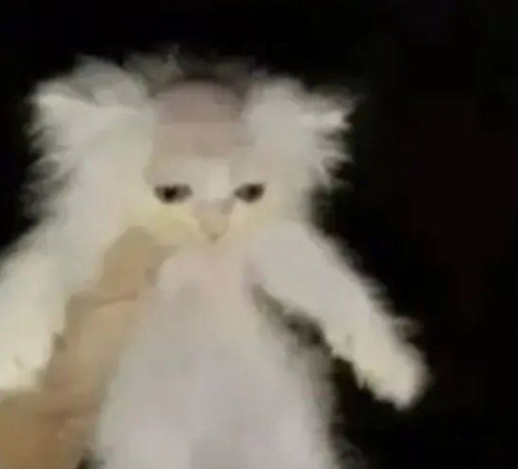 "Directa tengo muuy malas noticias ayer en la noche alguien se metió a la habitación de tm opera y le rapo parte del cabello"

No puede ser que OTRA vez la hayan dejado así...