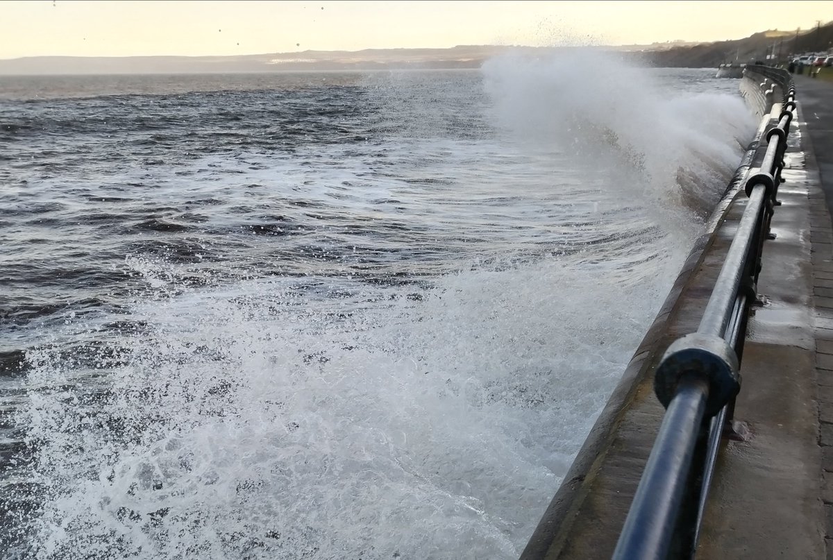 Steve Rose tweet media