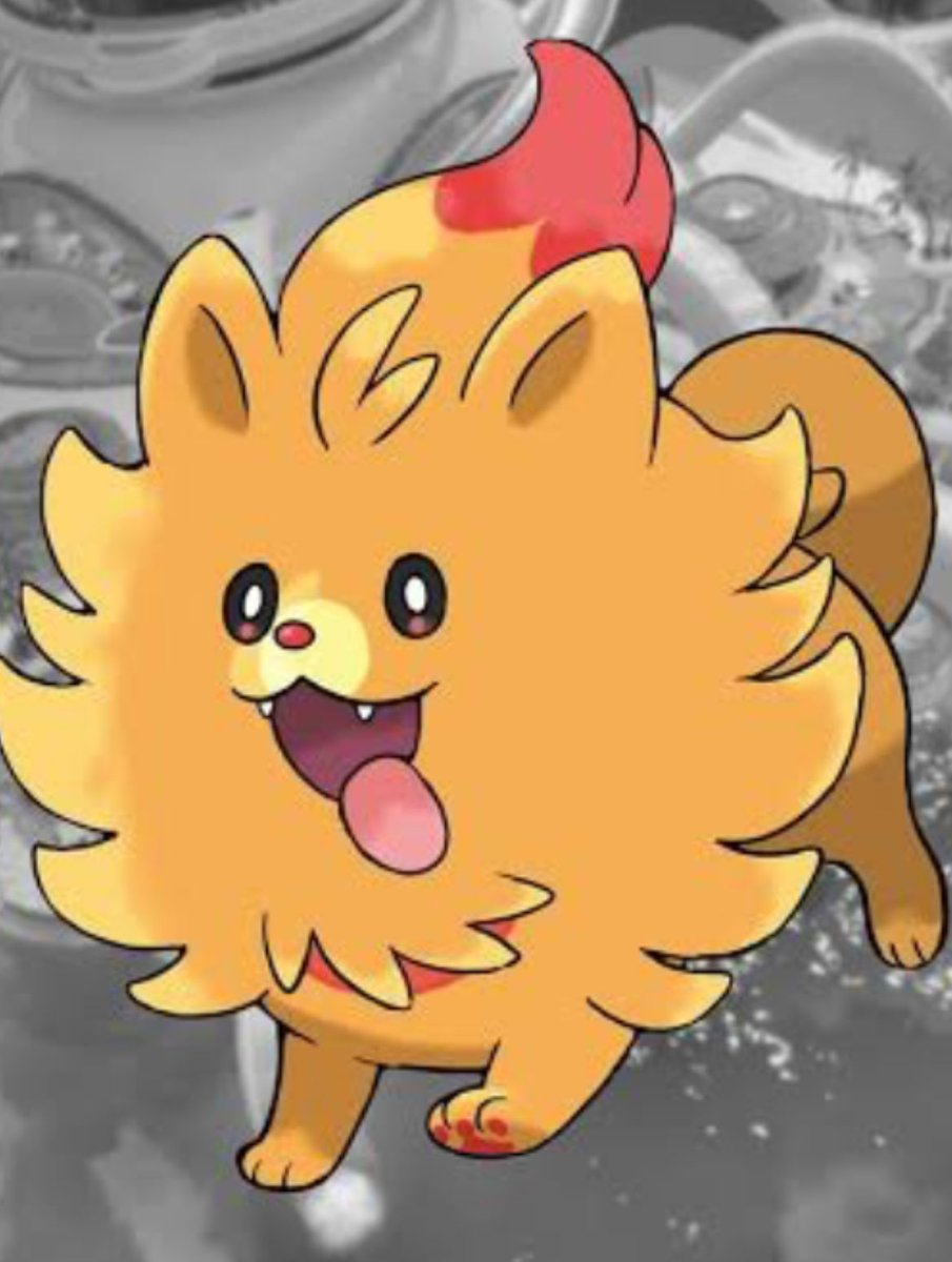 Trey Bin 🦝🔥 tweet media