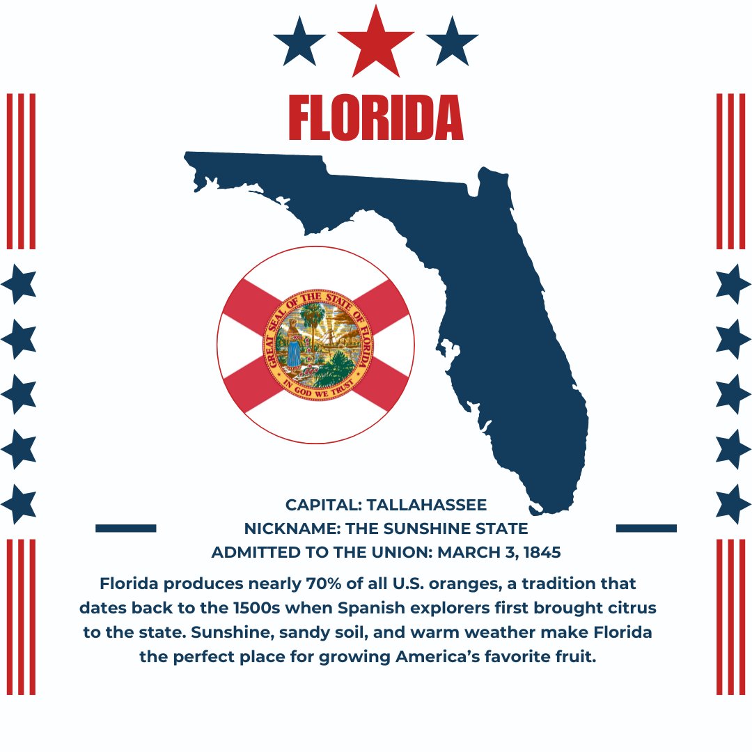 Global External tweet media